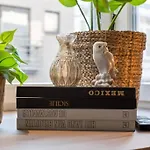 Raphaelle - Trendy Appartement Met 2 Slaapkamers